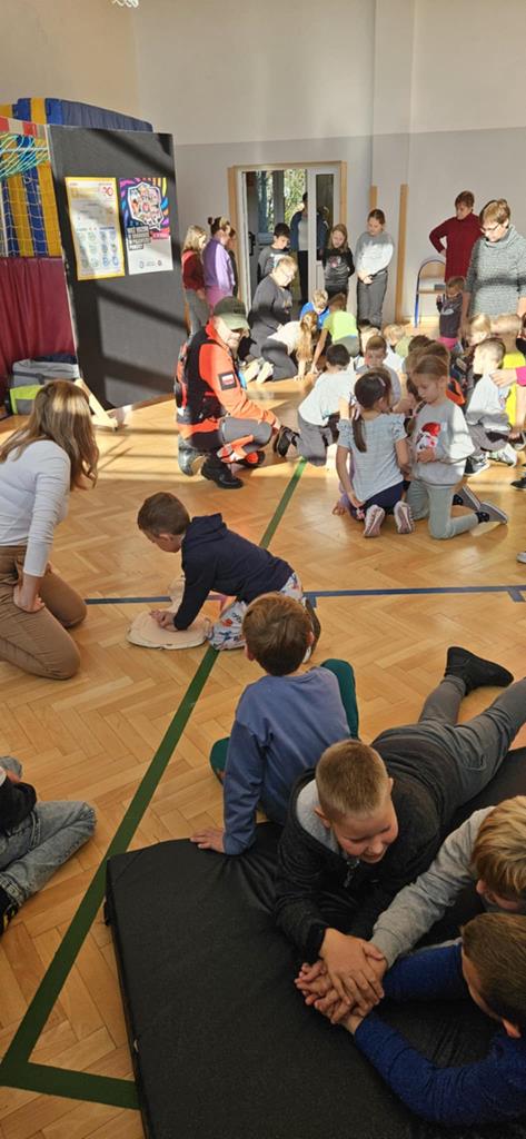 Program edukacyjny 